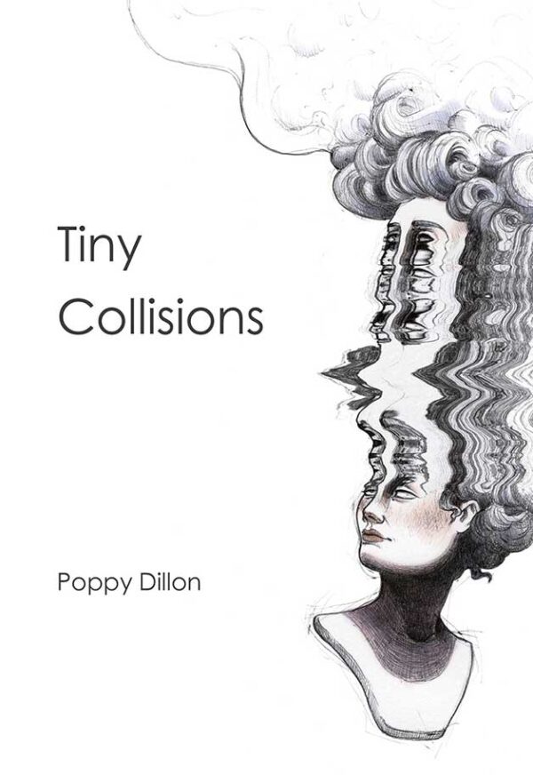 Tiny Collision poetry book