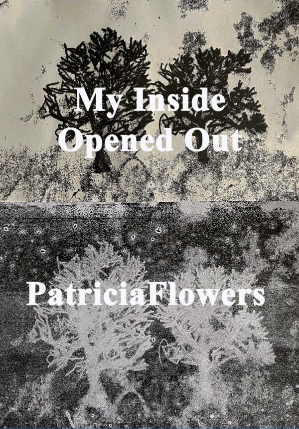 My Inside Opened Out